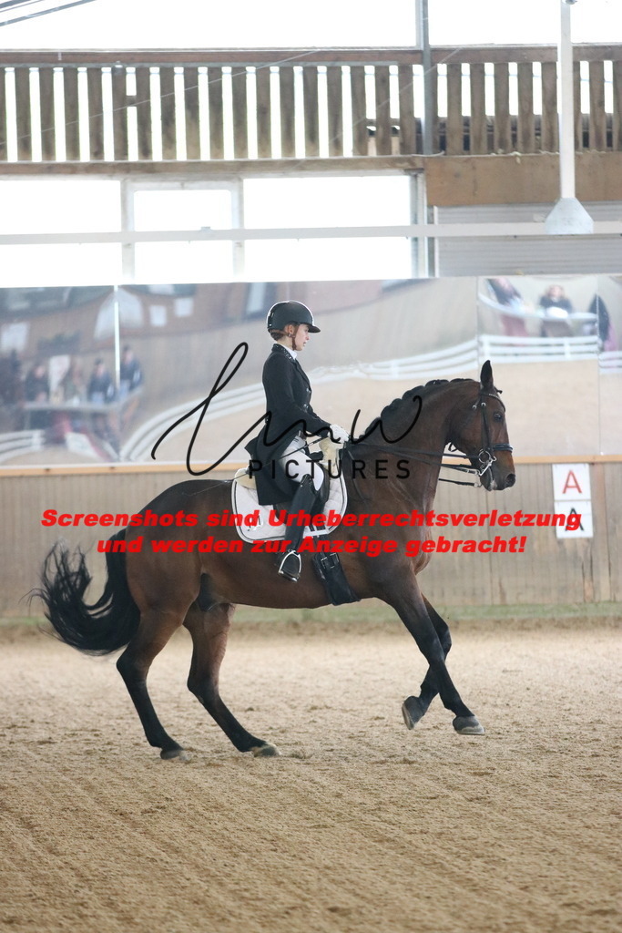 IMG_0633 | lmwpictures - Realisiert mit Pictrs.com