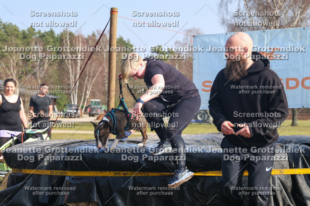 Dog Paparazzi - Strongdog North Mrz26-2111 | Dog Paparazzi Jeanette Grottendiek Fotografie & Videografie - Realisiert mit Pictrs.com