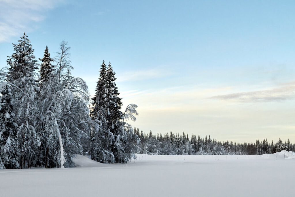 Am Polarkkreis 1 | Ich erzähle Geschichten als Autor und als Fotograf. Hier finden Sie hochwertige Naturfotografie, Reisefotografien und Bilder aus dem urbanen Lebensraum.  - Realisiert mit Pictrs.com
