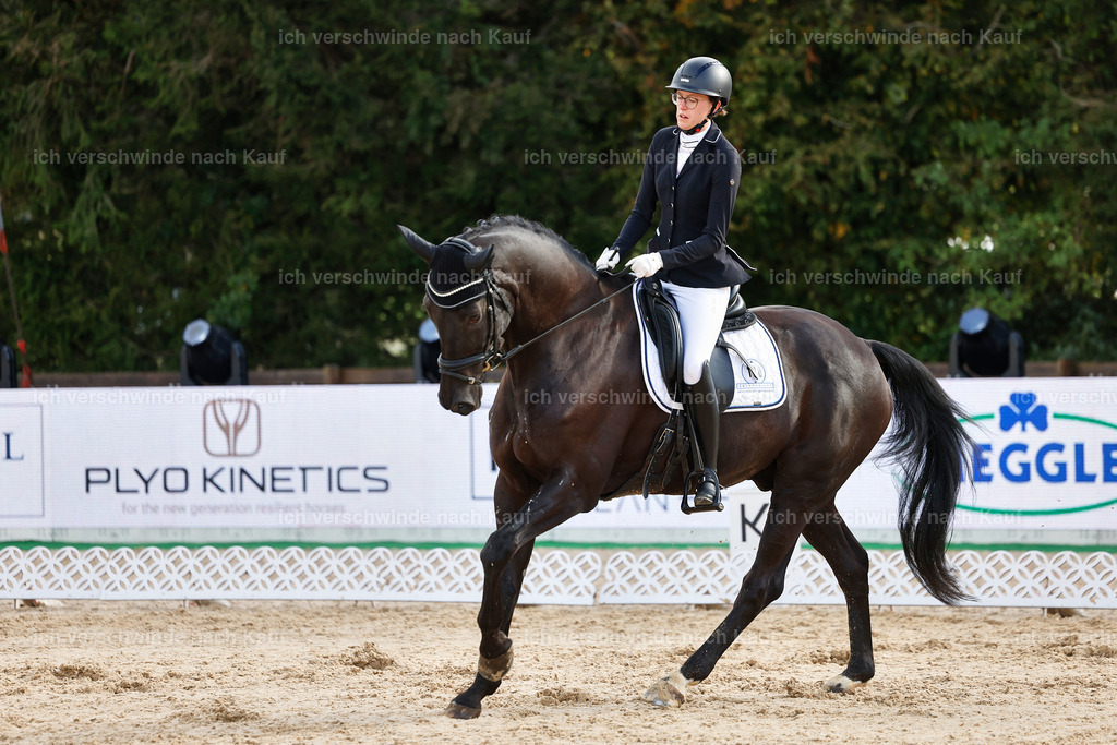 02-108-DRESSUR L_  -StoibPH-4738 | working equitationturnier fotograf videograf stoibphotography marixx film working equitation deutschland reitsport turnierfotografie eventfotografie equestrian events