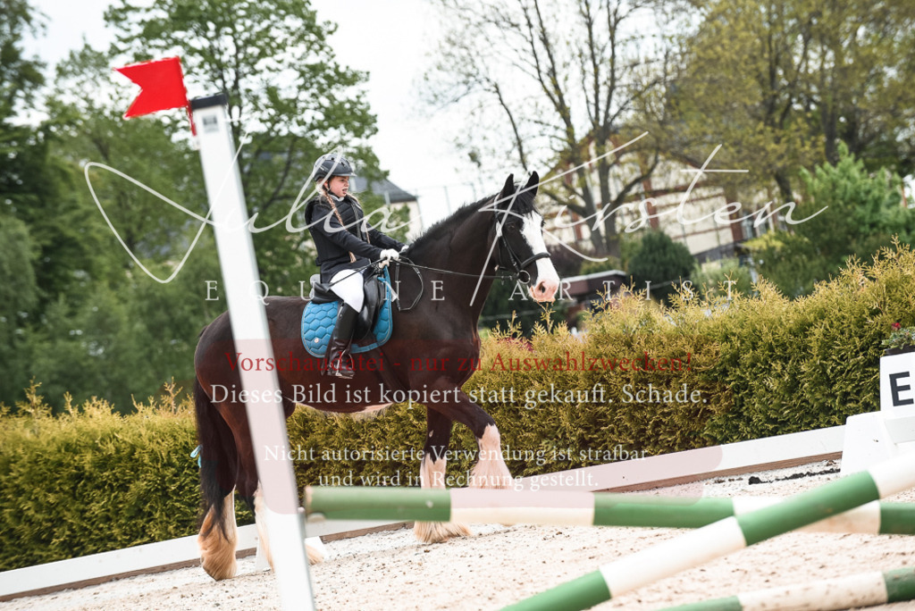 20230518_JK-Röhrsdorf-10-356 | Pferde- und Turnierfotografie in Westsachsen. Pferdeportraits, Auftragszeichnungen und intuitive Kunst.