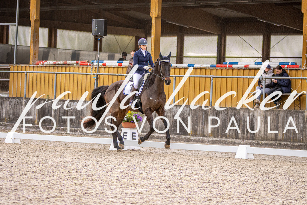 IMG_3112 | Erleben Sie dynamische Sport- und emotionale Tierfotografie in Süddeutschland mit Fotos von Paula. Spezialisiert auf Pferde- und Hundefotografie sowie Sportevents. Kontaktieren Sie mich für einzigartige und ausdrucksstarke Bilder Ihrer besonderen Momente.