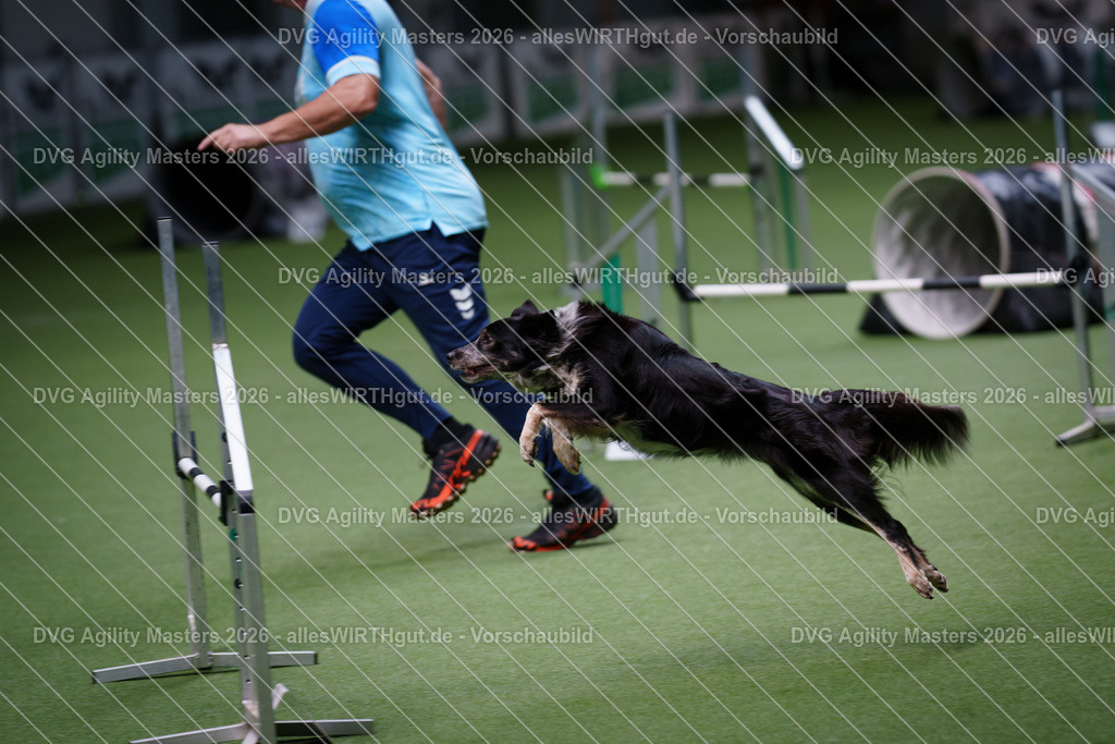 allesWIRTHgut_Tierfotografie-DVG_Agility_Masters_2026-10_24-7R500414 | Professionelle Tierfotografie in Mönchengladbach von Daniel Wirth (allesWIRTHgut). Liebevolle & natürliche Bilder von Hunden & Katzen für unvergessliche Erinnerungen.