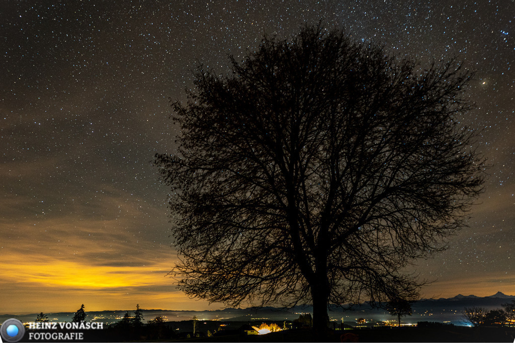 Bern_0033 | Alle Bilder von Heinz Vonäsch Fotografie können alle zu günstigen Preisen gekauft werden! Download der Bilder, Ausdrucke, Postkarten, Tassen T-Shirts, Kalender, Alu- Dibond usw. - Realisiert mit Pictrs.com