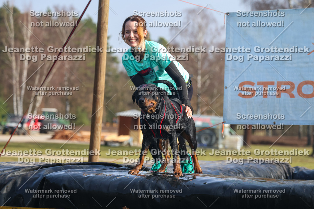 Dog Paparazzi - Strongdog North Mrz26-1850 | Dog Paparazzi Jeanette Grottendiek Fotografie & Videografie - Realisiert mit Pictrs.com