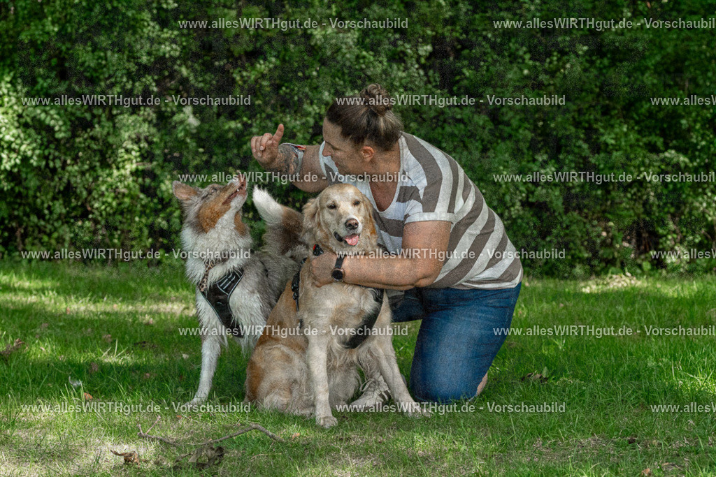 Hundeschwimmen_Volksbad_2026-allesWIRTHgut_Tierfotografie-2609061407-FAY06898 | Professionelle Tierfotografie in Mönchengladbach von Daniel Wirth (allesWIRTHgut). Liebevolle & natürliche Bilder von Hunden & Katzen für unvergessliche Erinnerungen.