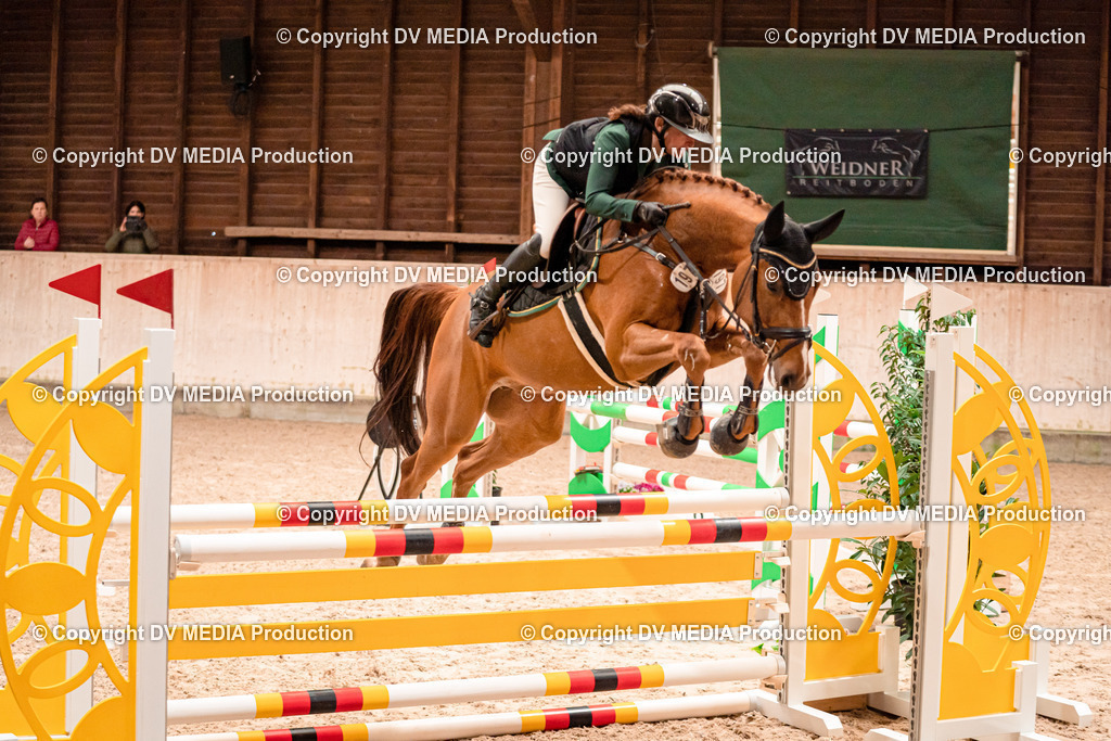 Springen Tag 1-335 | dv-media-shop - Realisiert mit Pictrs.com