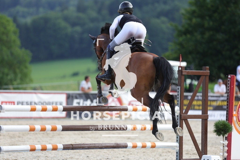 0P6A1177 | Willkommen bei Brunnmayr - Design & Fotografie – Ihrem Spezialisten für Reitturniere und Pferdeveranstaltungen in Oberösterreich, Salzburg und Bayern! Seit über 17 Jahren sind wir leidenschaftlich dabei.