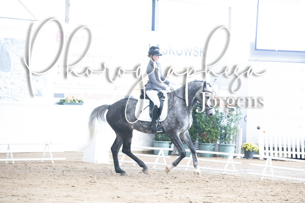 IMG_5941 | photographesa-joergens - Realisiert mit Pictrs.com