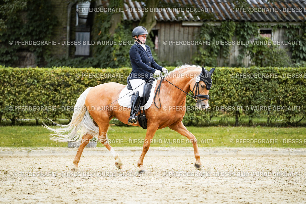 DSC00700 | Pferdegrafie