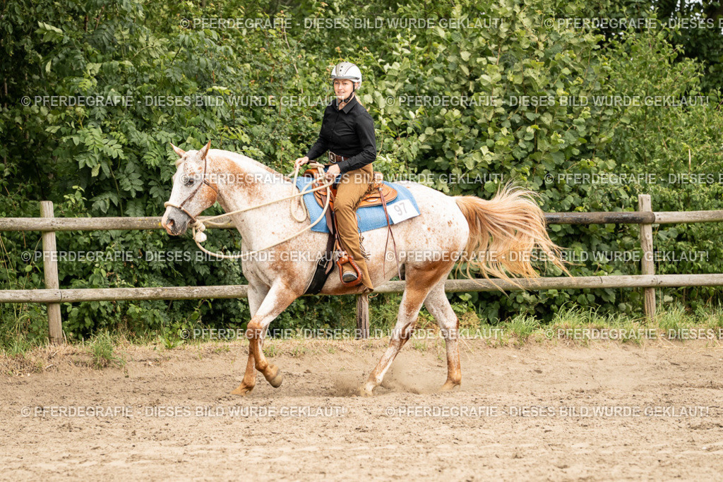 DSC01029 | Pferdegrafie