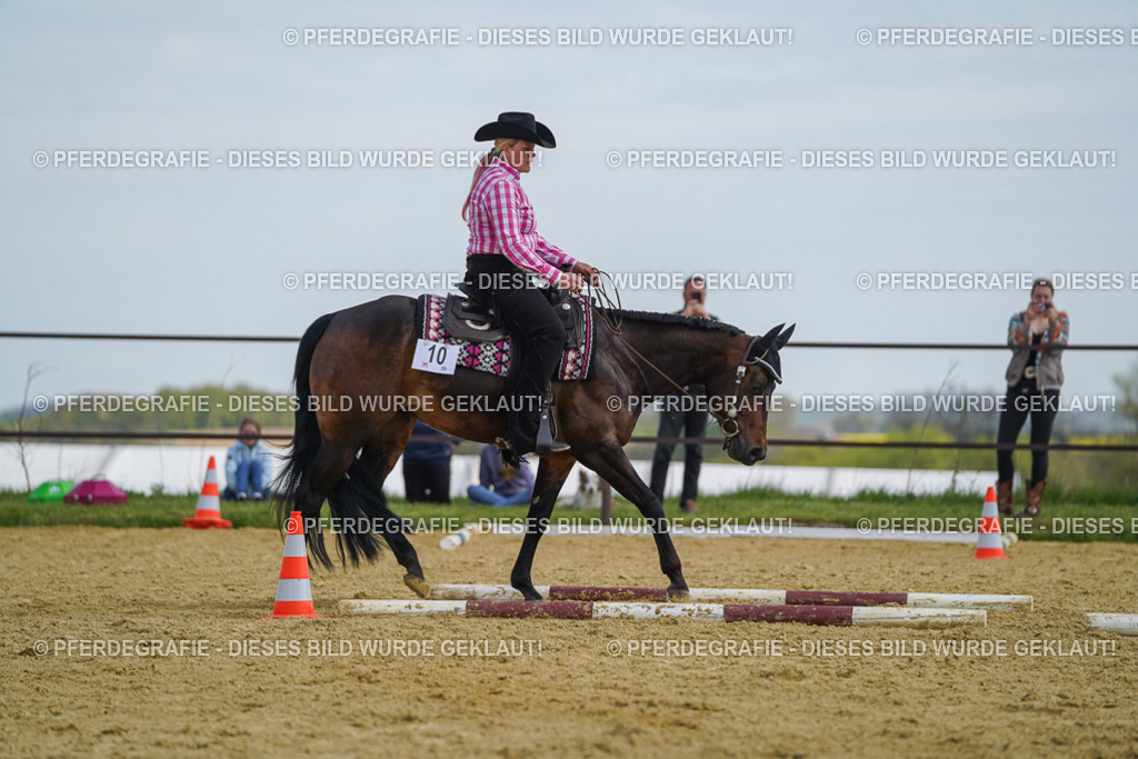 DSC05205 | Pferdegrafie