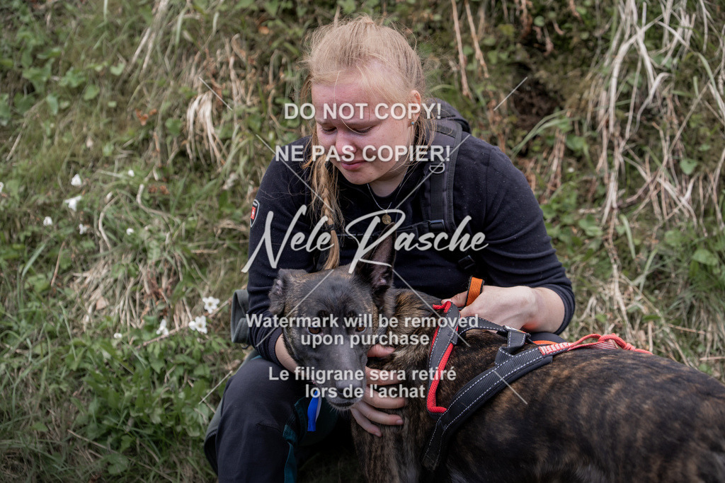 NR__0910 | nelerasche