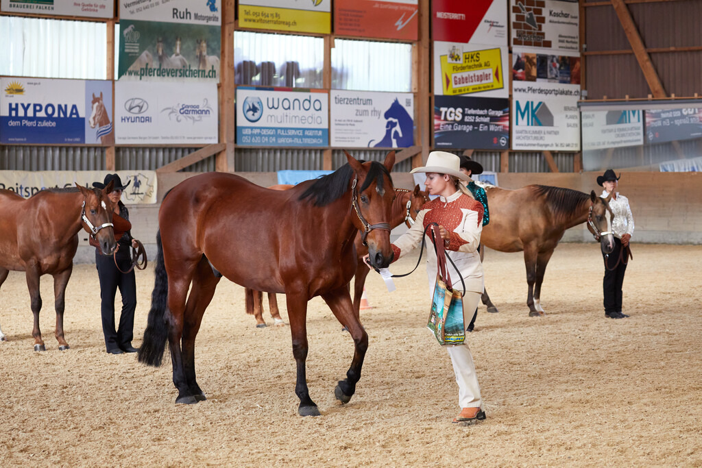 2020_07_19 Schweizersbild 015 | Peter Fridle Fotografie - Realisiert mit Pictrs.com
