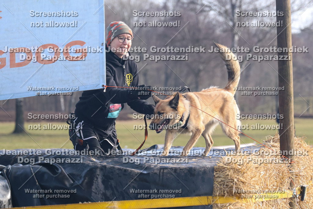 Dog Paparazzi - Strongdog North Mrz26-1034 | Dog Paparazzi Jeanette Grottendiek Fotografie & Videografie - Realisiert mit Pictrs.com