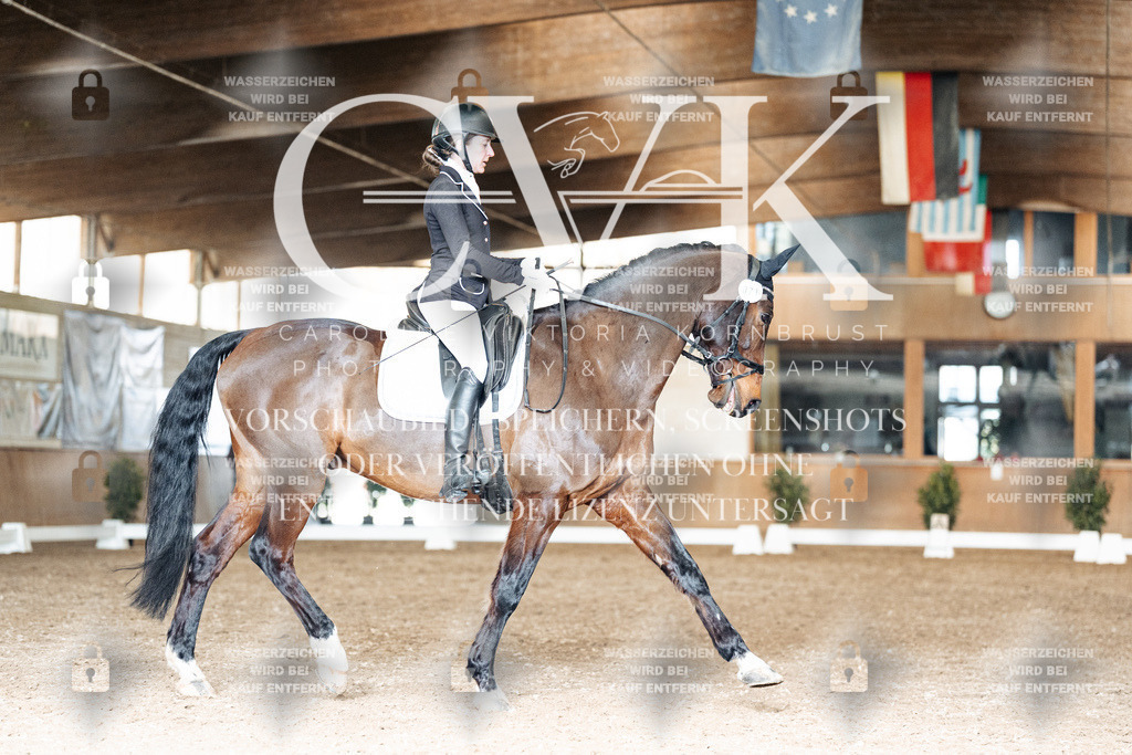 CK901913 | Turnierfotografie Pferdefotografie Trier Rheinland-Pfalz Pferdesport Reitsport Tierfotografie Sportfotografie Pferdevideo Pferdevideografie Equestrianvideography equestrianphotography  - Realisiert mit Pictrs.com