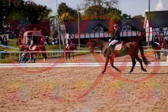 2026_10_03_Siefer-Hof_130229_Z81_56927833 | Professionelle Reitsport-, Turnier- und Eventfotografie von Robert Broda. Galerien mit ausgewählten und bearbeiteten Bildern direkt online ansehen und bestellen.
