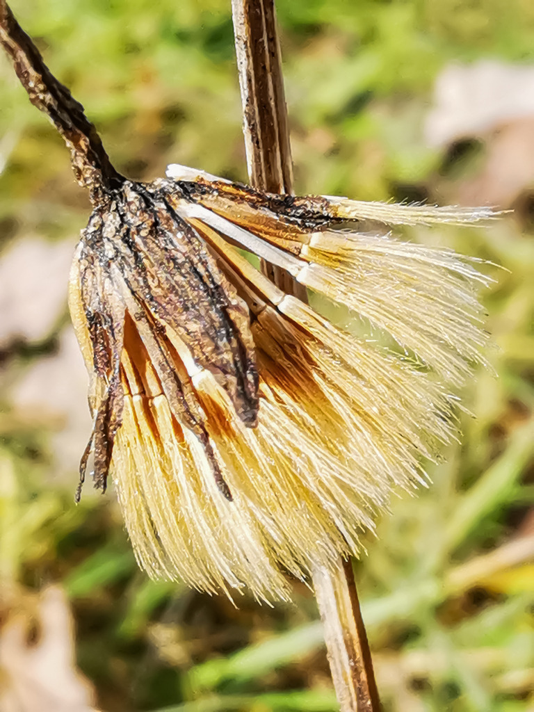 PSX_20230221_224714 | mtkfoto_ - Realisiert mit Pictrs.com