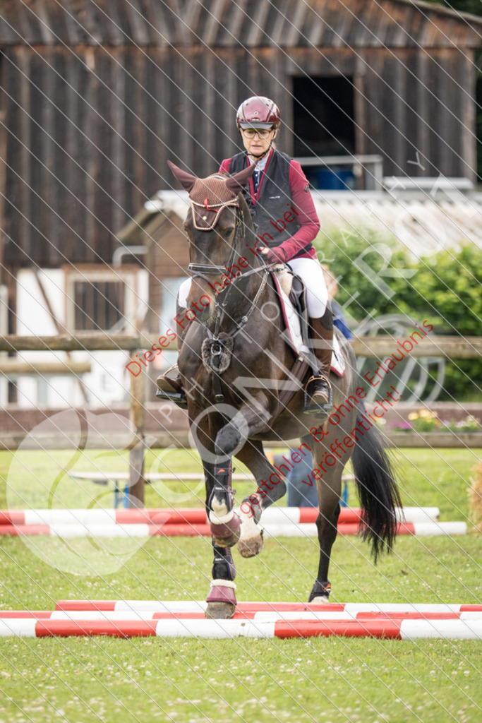 IMG_2424 | Sport-, Event- und Tierfotos in Profiqualität. Einfach auswählen, bestellen und herunterladen. Dein Moment – perfekt festgehalten.