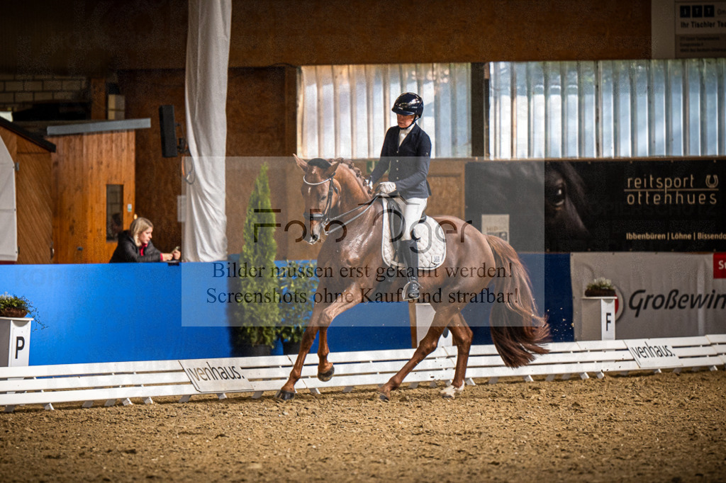 DOS_0659 | Entdecke hochwertige Reitturnierfotos von Foto Oger. Professionell, emotional und authentisch – jetzt Lieblingsmomente im Shop bestellen.Deutschlandweite Turnierfotografie. - Realisiert mit Pictrs.com