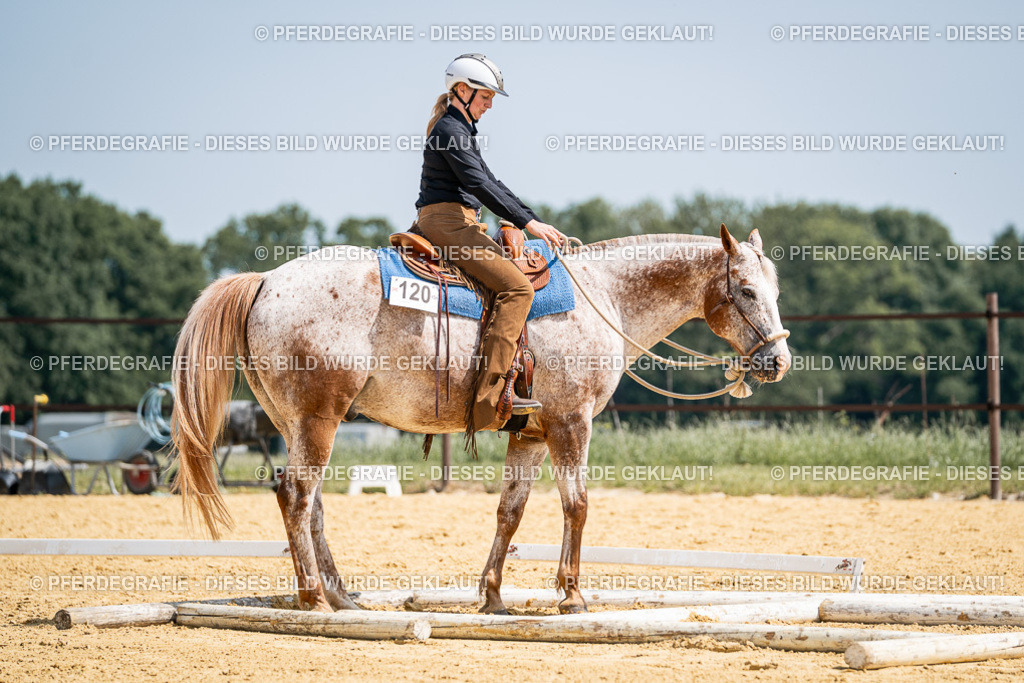 DSC00532 | Pferdegrafie