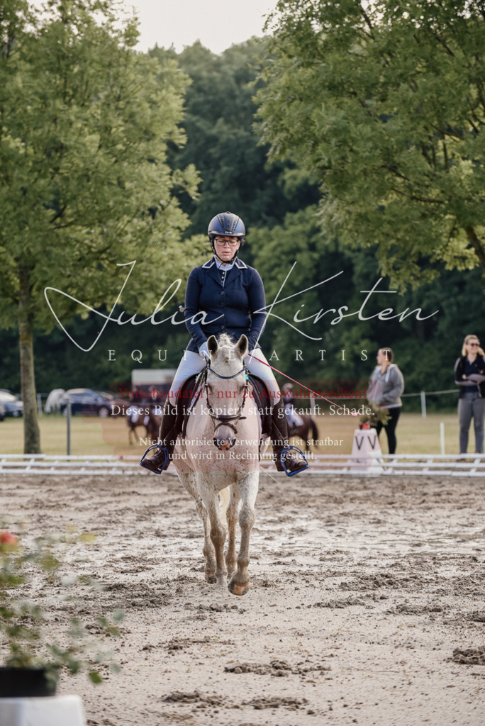 DSC_7977 | Pferde- und Turnierfotografie in Westsachsen. Pferdeportraits, Auftragszeichnungen und intuitive Kunst.
