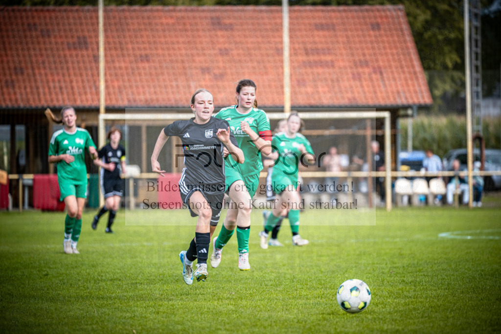 SG Bohmte/Ostercappeln/Schwagstorf - SG Hollenstede / Schwagstorf | Fr.-BZL Weser-Ems Süd · 1. Damen - SG Hollenstede / Schwagstorf · Sportplatz - Realisiert mit Pictrs.com