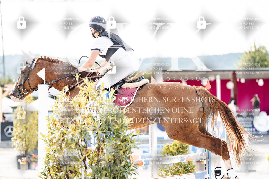 CK906696 | Turnierfotografie Pferdefotografie Trier Rheinland-Pfalz Pferdesport Reitsport Tierfotografie Sportfotografie Pferdevideo Pferdevideografie Equestrianvideography equestrianphotography  - Realisiert mit Pictrs.com