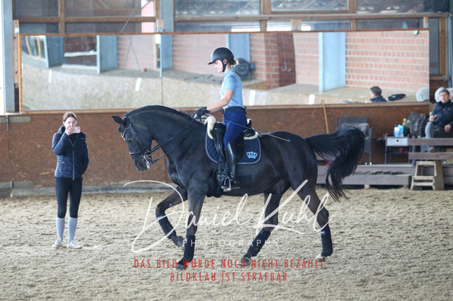 DKP42697 | Turniersportfotografie; Pferdefotografie; Dressurfotografie