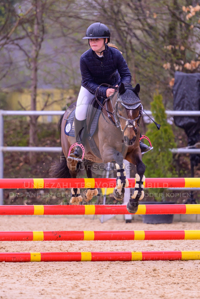 12042026-Mammendorf-Prfg41-0305 | Fokus Hufschlag Fotografie - Realisiert mit Pictrs.com
