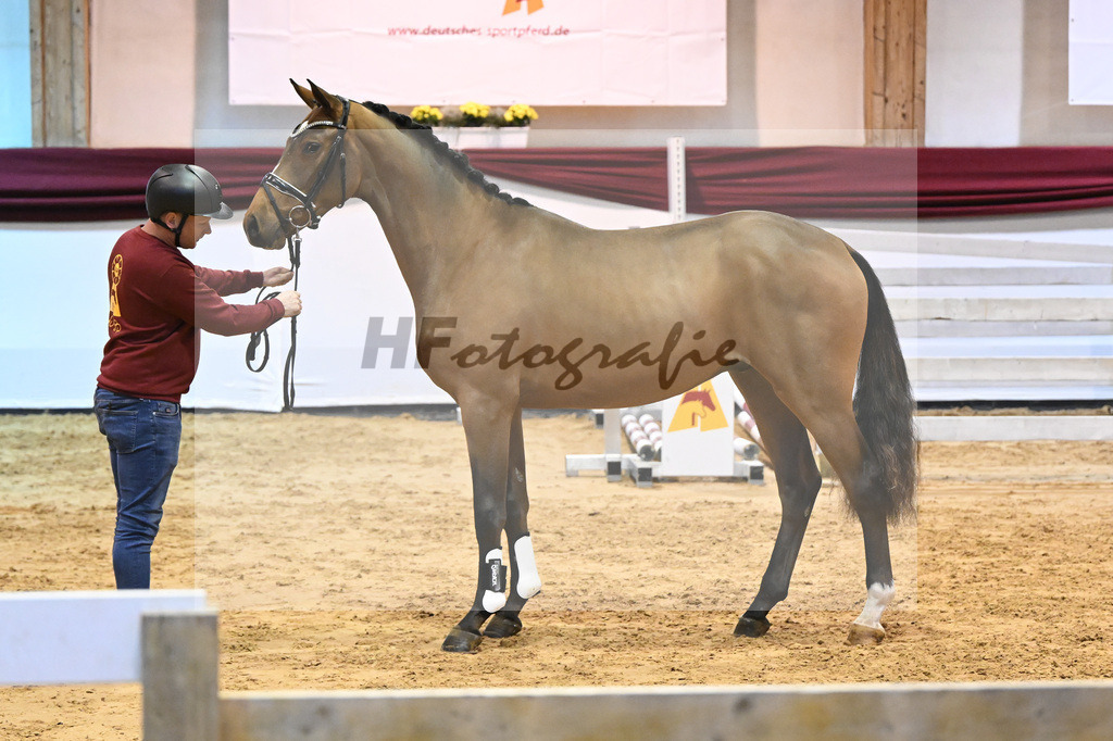 Kat-Nr. 46 v. Poker de Mariposa_Beckmann_66221249 | hf-fotografie - Realisiert mit Pictrs.com
