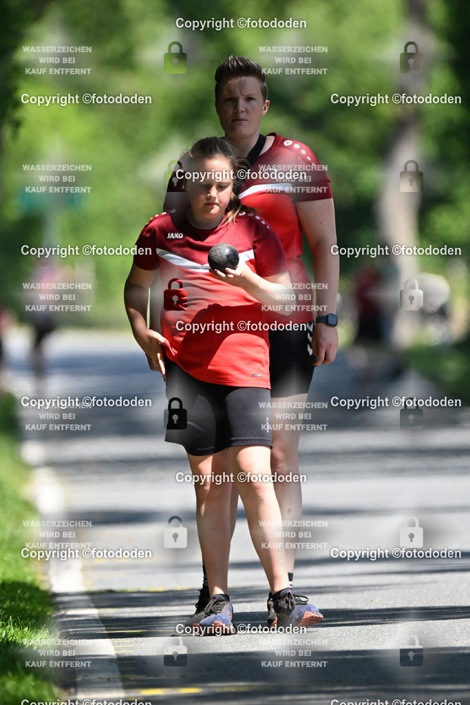 DSC_1194 | Johanna Runge / Schweinebrück / wJD Holz