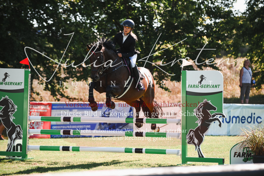 DSC_2397 | Pferde- und Turnierfotografie in Westsachsen. Pferdeportraits, Auftragszeichnungen und intuitive Kunst.