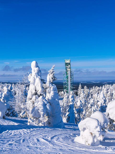 Landschaft mit Schnee im Winter in Ruka, Finnland | Landschaft mit Schnee im Winter in Ruka, Finnland.
