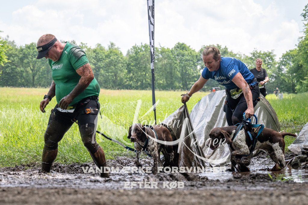 1138_ZZ93605 | kk-dogfotos