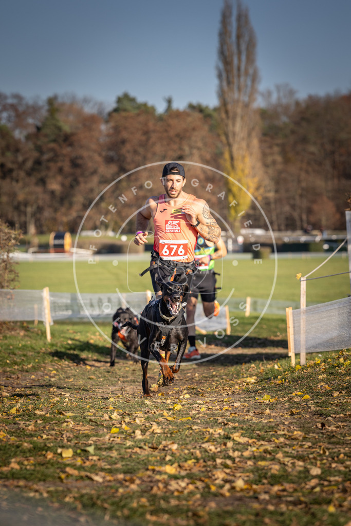 CaniXpix_DV3A0947 | Hundefotografie, Tierfotograf, Pfotenfotografie, Fotoshooting Hund, Hunde Portrait, Hundesport, Hundeportraits, Heideshooting, Hunde, Sportfotograf, Hundefotograf, Turnierhundsport, THS,  - Realisiert mit Pictrs.com