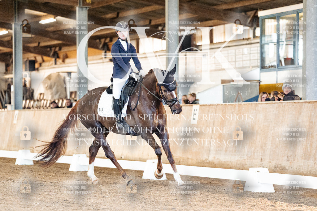 CK906847 | Turnierfotografie Pferdefotografie Trier Rheinland-Pfalz Pferdesport Reitsport Tierfotografie Sportfotografie Pferdevideo Pferdevideografie Equestrianvideography equestrianphotography  - Realisiert mit Pictrs.com