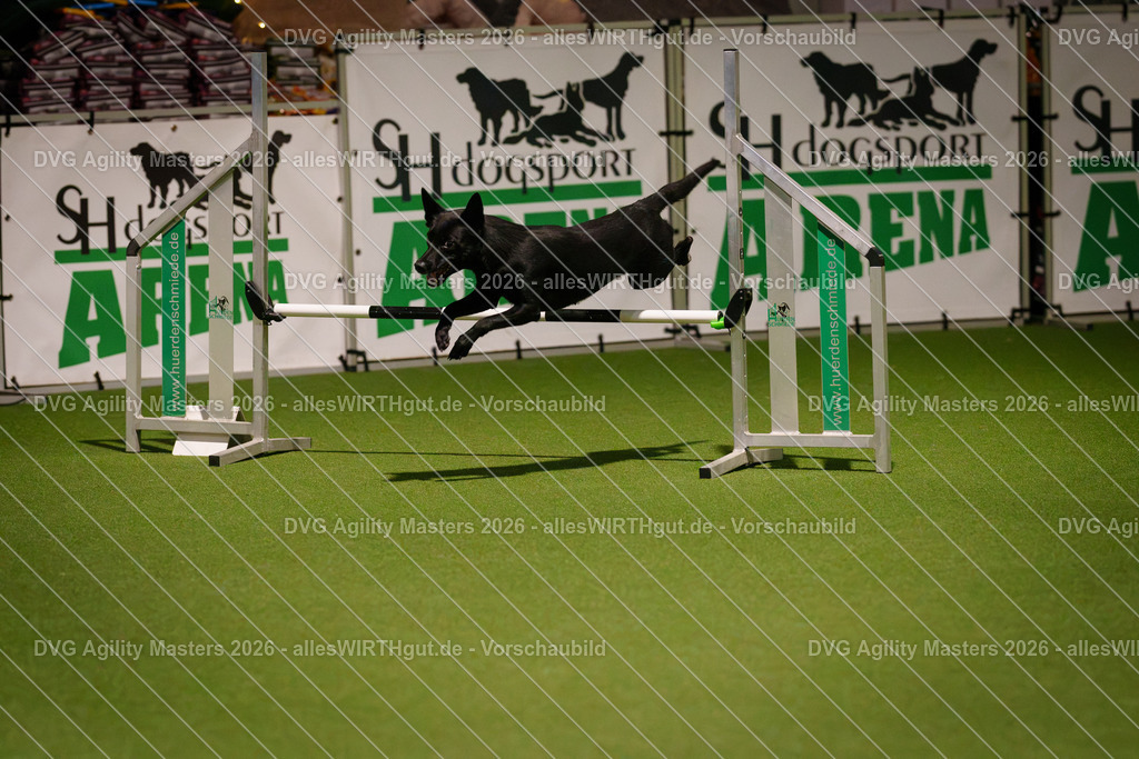 allesWIRTHgut_Tierfotografie-DVG_Agility_Masters_2026-17_07-7R505138 | Professionelle Tierfotografie in Mönchengladbach von Daniel Wirth (allesWIRTHgut). Liebevolle & natürliche Bilder von Hunden & Katzen für unvergessliche Erinnerungen.