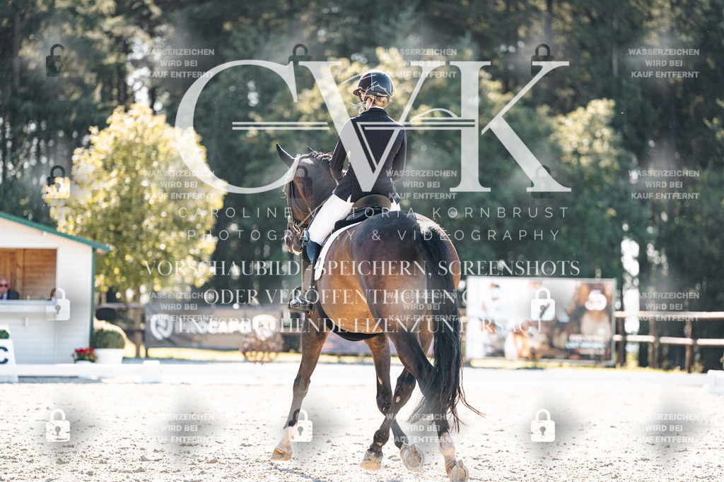 CK905926 | Turnierfotografie Pferdefotografie Trier Rheinland-Pfalz Pferdesport Reitsport Tierfotografie Sportfotografie Pferdevideo Pferdevideografie Equestrianvideography equestrianphotography  - Realisiert mit Pictrs.com