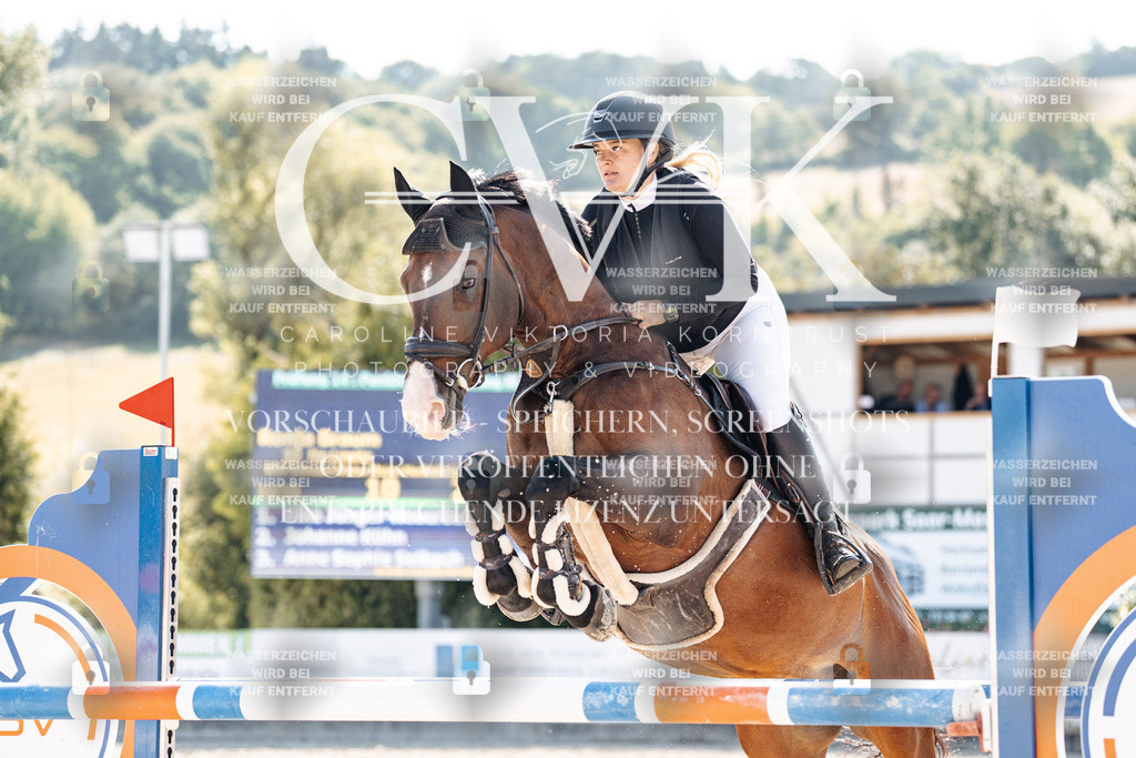 CK902525 | Turnierfotografie Pferdefotografie Trier Rheinland-Pfalz Pferdesport Reitsport Tierfotografie Sportfotografie Pferdevideo Pferdevideografie Equestrianvideography equestrianphotography  - Realisiert mit Pictrs.com