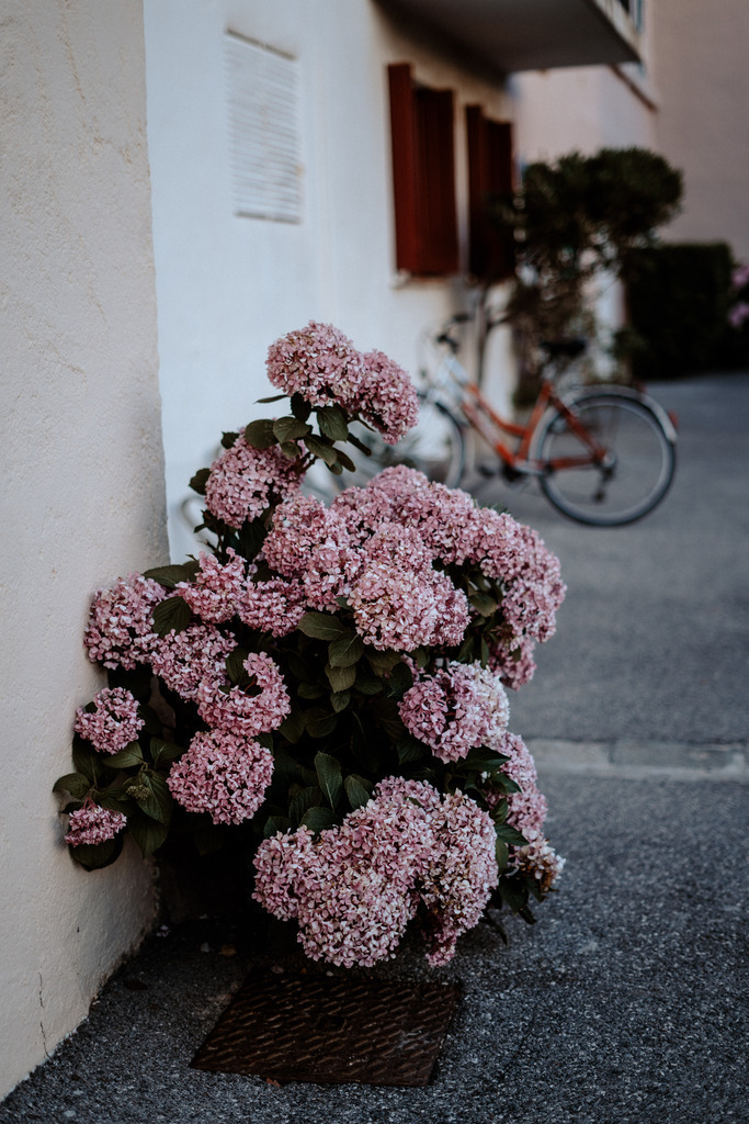 Grimaud - Frankreich | Print Shop 
Fotografie
Posterdruck
Landschaftsfotografie
Reisefotografie
Naturfotografie
Anja Brandes Poster 
Anja Brandes Photography 
Prints for Walls 
Printable 
Posterdrucke
Poster aesthetic 
Poster Wall 
Poster Prints 
Poster schwarz weiß - Realisiert mit Pictrs.com