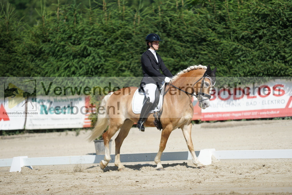 DSC03017 | equestrian-live-com