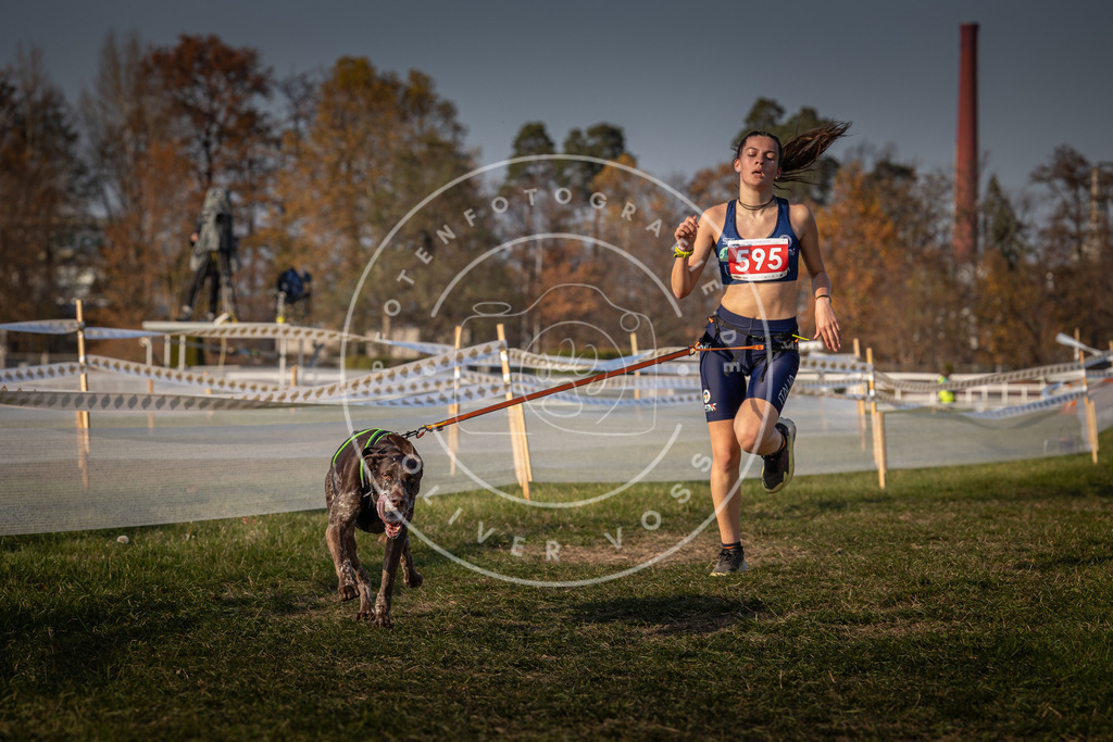 CaniXpix_0L8A9856 | Hundefotografie, Tierfotograf, Pfotenfotografie, Fotoshooting Hund, Hunde Portrait, Hundesport, Hundeportraits, Heideshooting, Hunde, Sportfotograf, Hundefotograf, Turnierhundsport, THS,  - Realisiert mit Pictrs.com