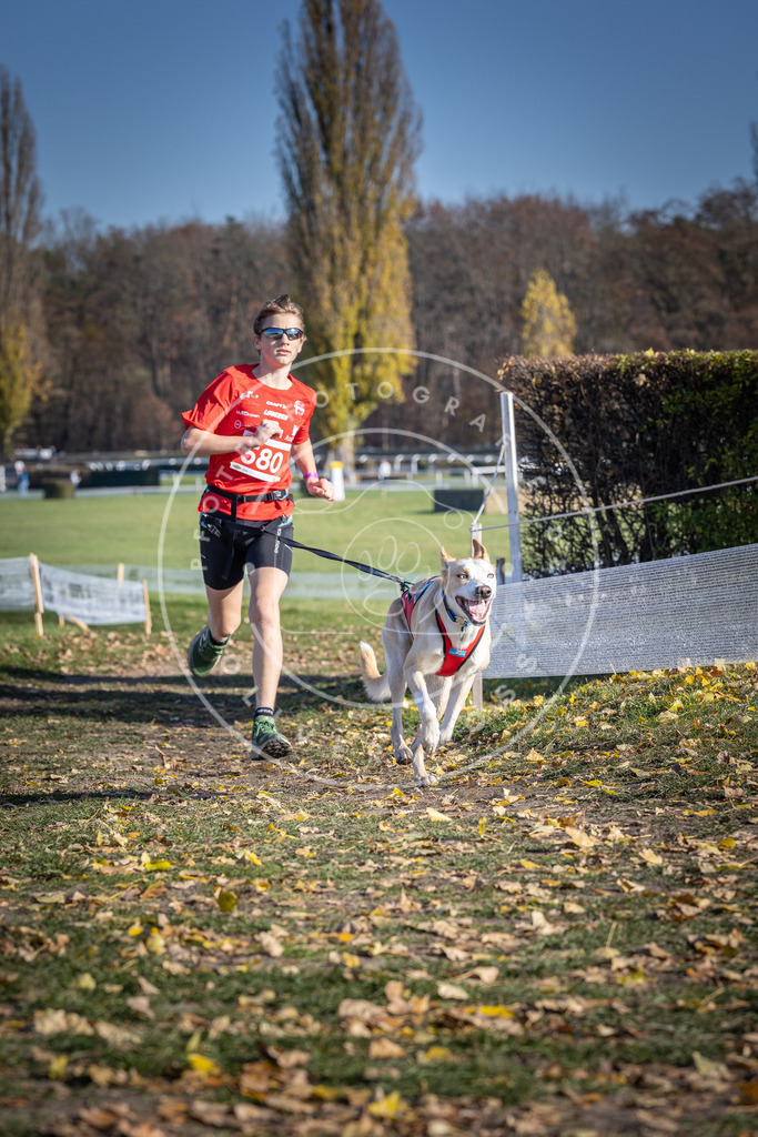 CaniXpix_DV3A9045 | Hundefotografie, Tierfotograf, Pfotenfotografie, Fotoshooting Hund, Hunde Portrait, Hundesport, Hundeportraits, Heideshooting, Hunde, Sportfotograf, Hundefotograf, Turnierhundsport, THS,  - Realisiert mit Pictrs.com