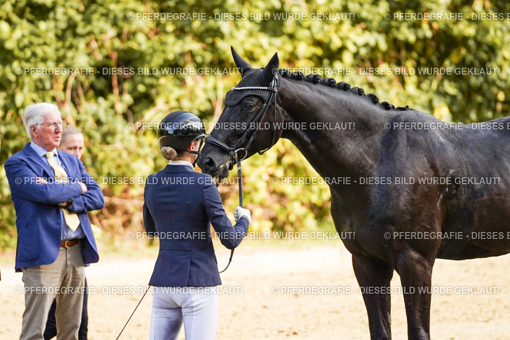 DSC05000 | Pferdegrafie