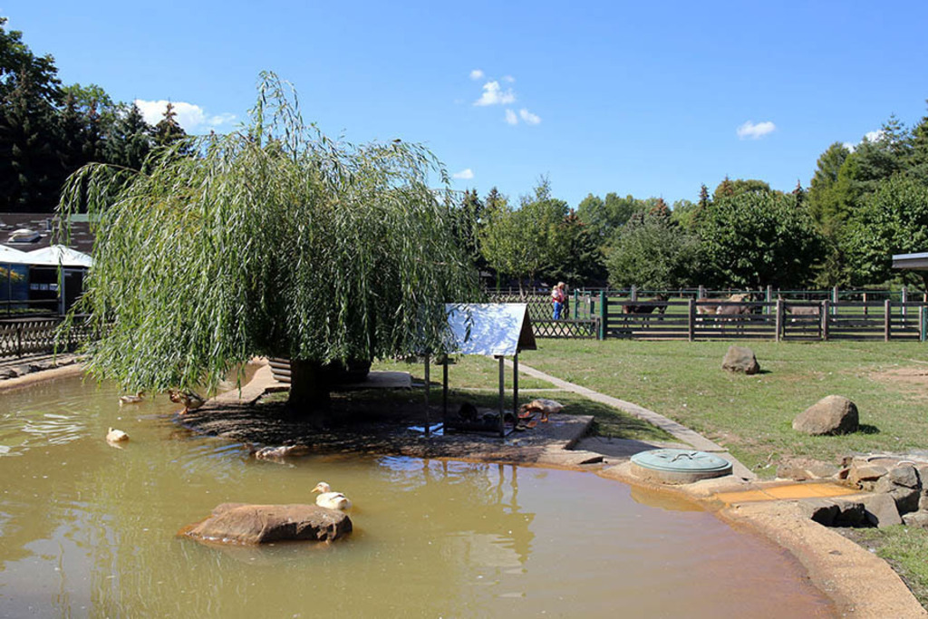 Foto: Leipzig - Haustierfarm im Wildpark Leipzig | Das Team hinter BILDLEXIKON LEIPZIG bündelt historische wie aktuelle Informationen über die Stadt Leipzig in Text und Bild auf einer Plattform und stellt diese der interessierten Öffentlichkeit zur Verfügung.