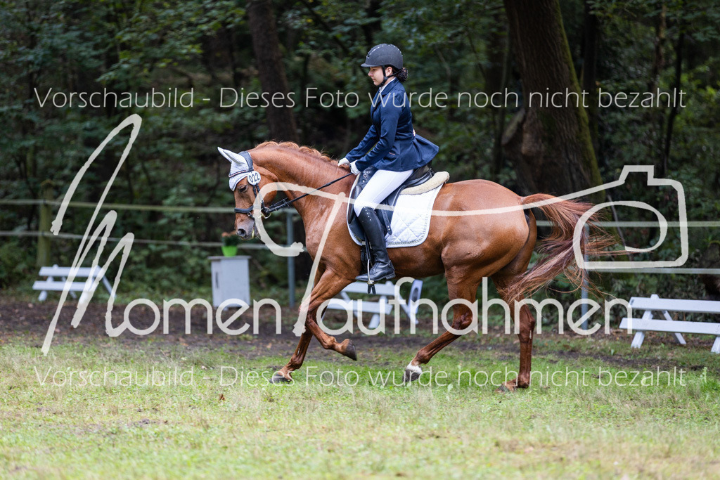 HB-Dressur-WB-069 | MomenTaufnahmen Pferdesportfotos