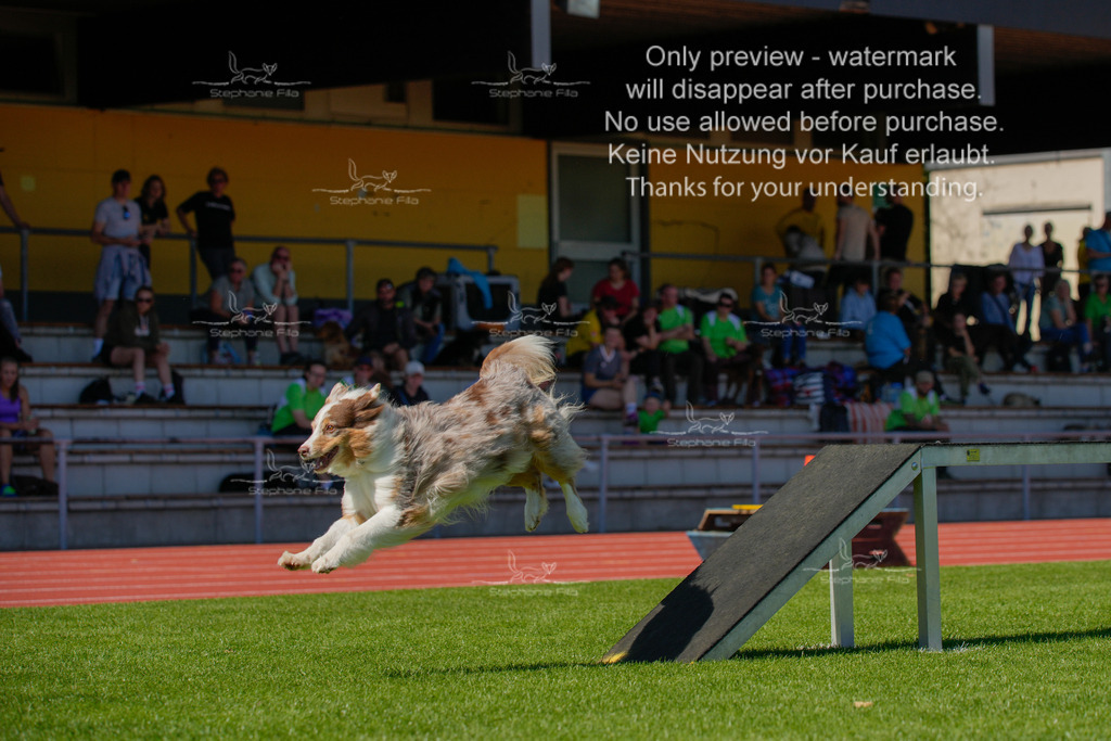 Sonntag_VK Hindernis (321 von 671) | stephaniefillaphotographie - Realisiert mit Pictrs.com