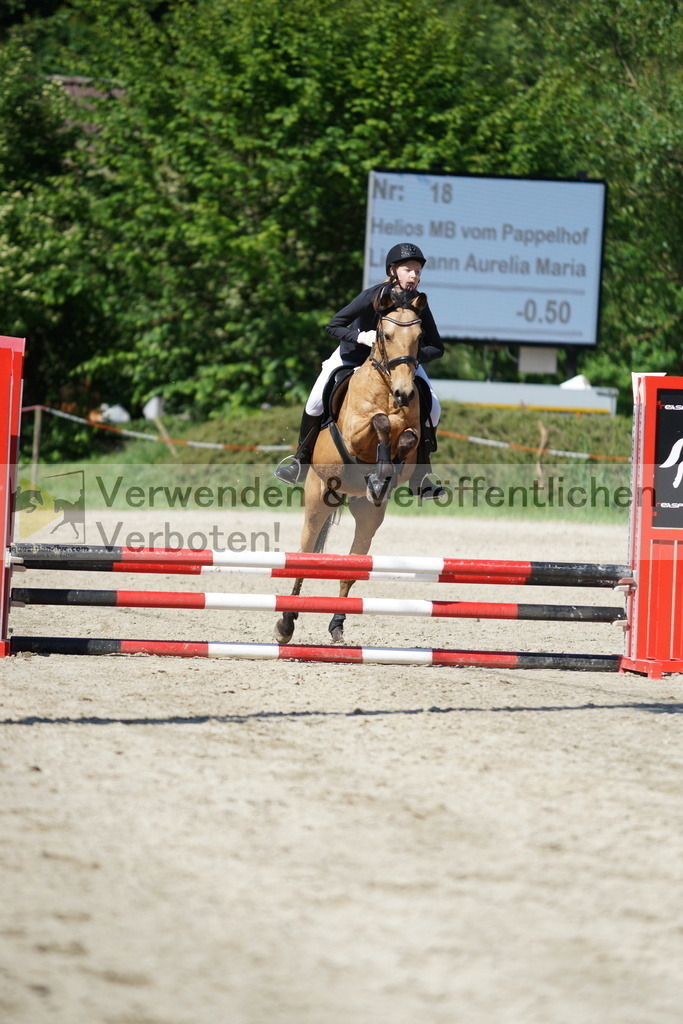 DSC06149 | equestrian-live-com