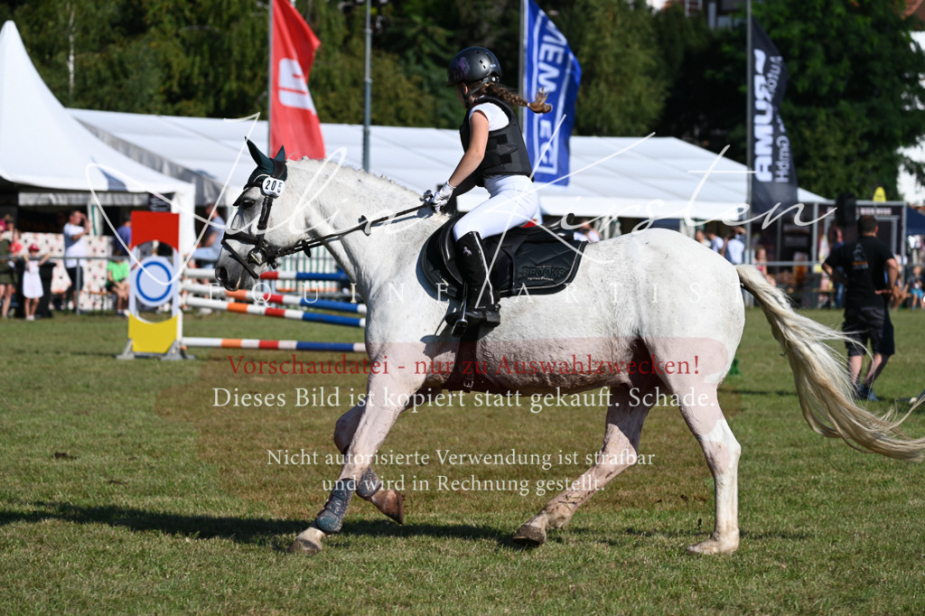 DSC_5200 | Pferde- und Turnierfotografie in Westsachsen. Pferdeportraits, Auftragszeichnungen und intuitive Kunst.